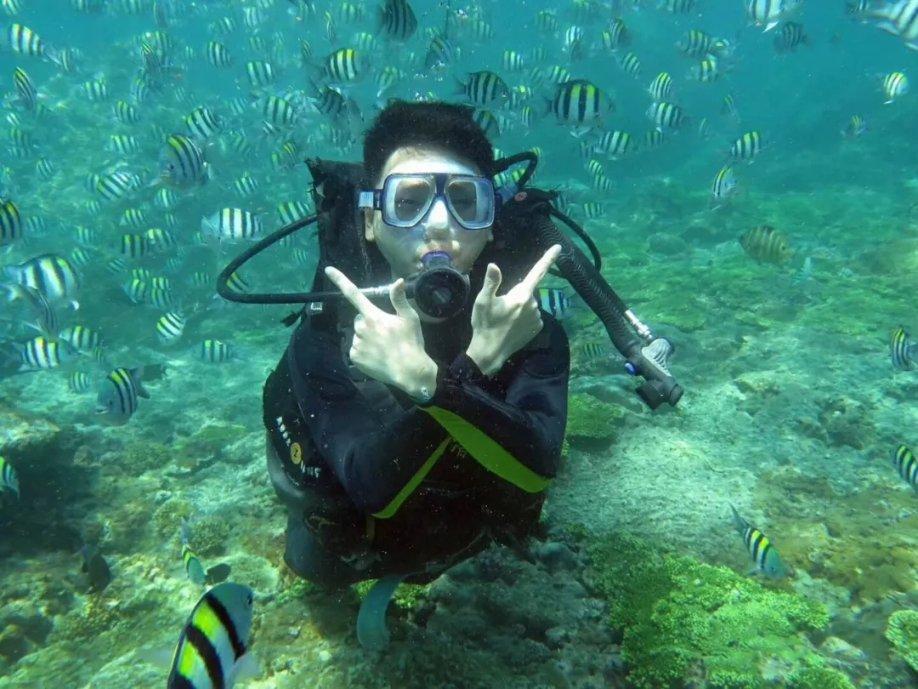 夏季热带海滩逃生